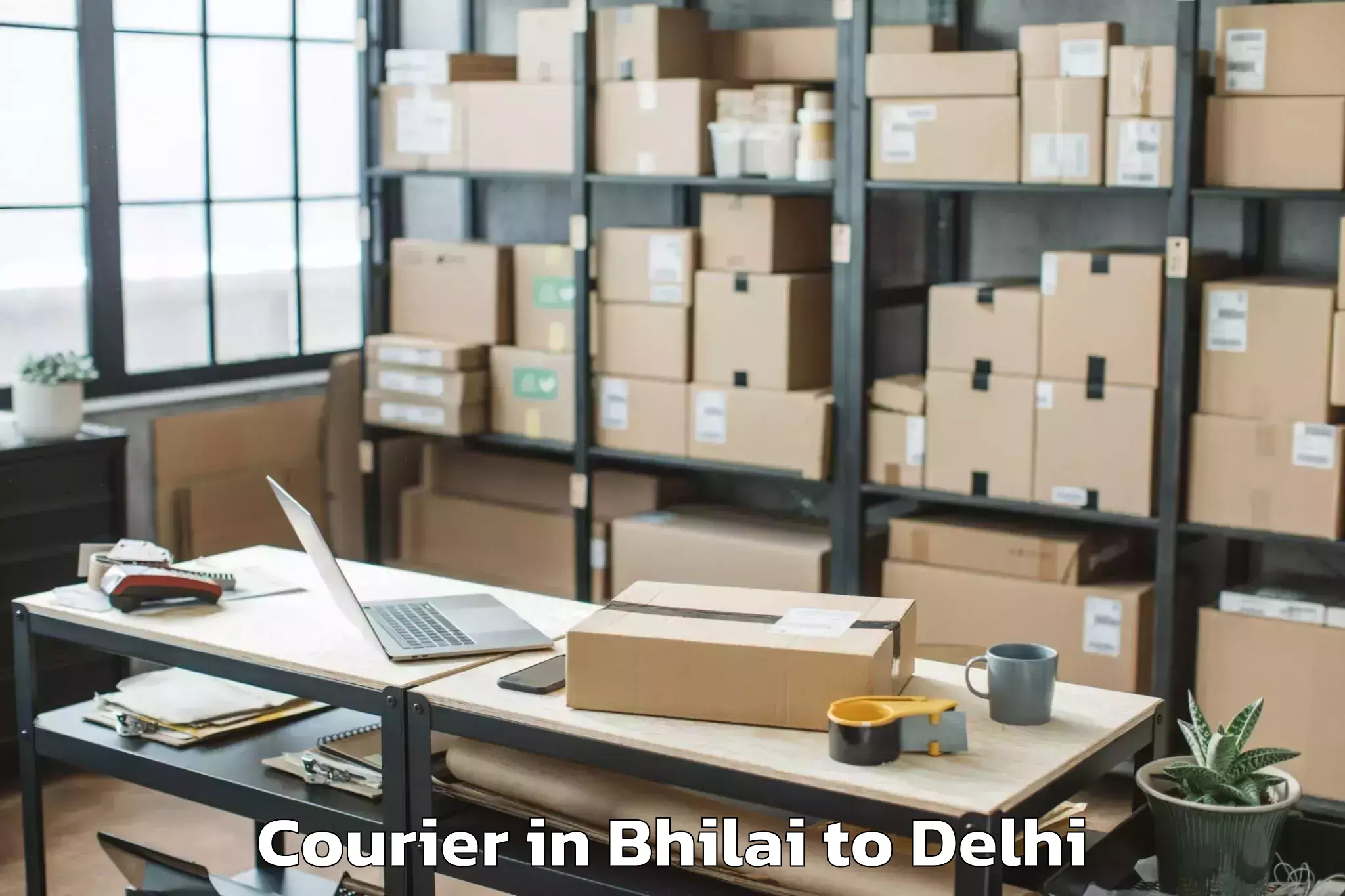 Easy Bhilai to Pitampura Courier Booking